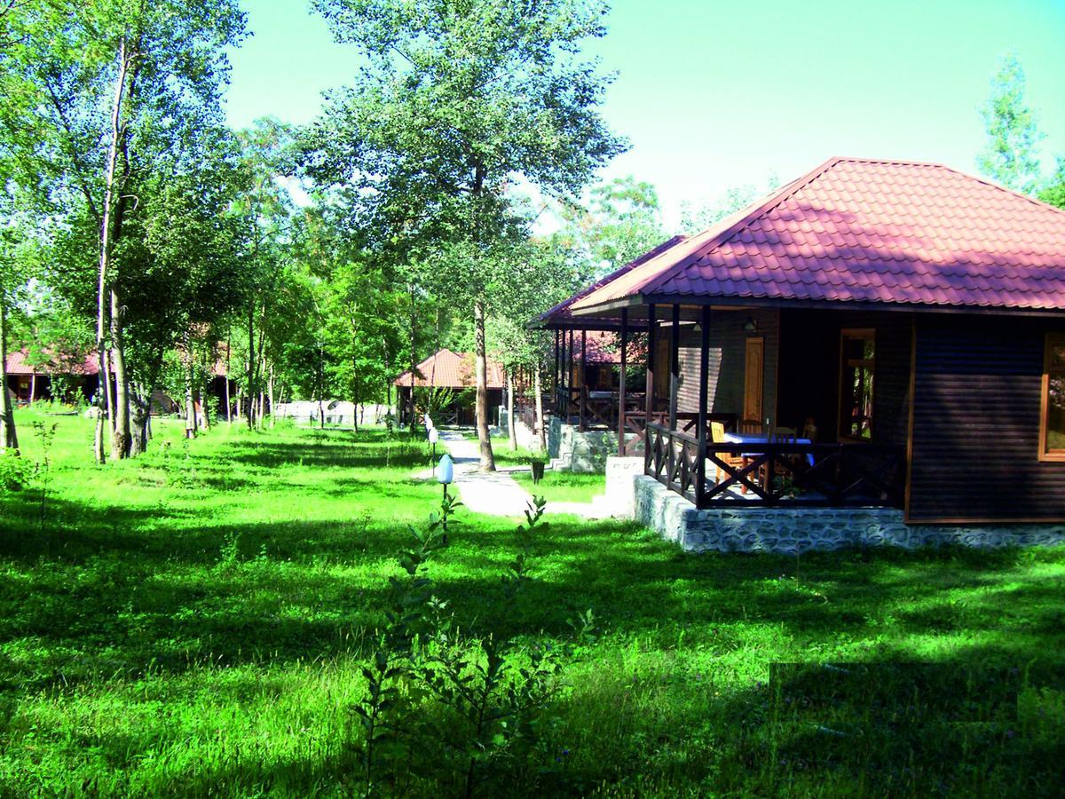 Kish Adasi Şǝki Bagian luar foto