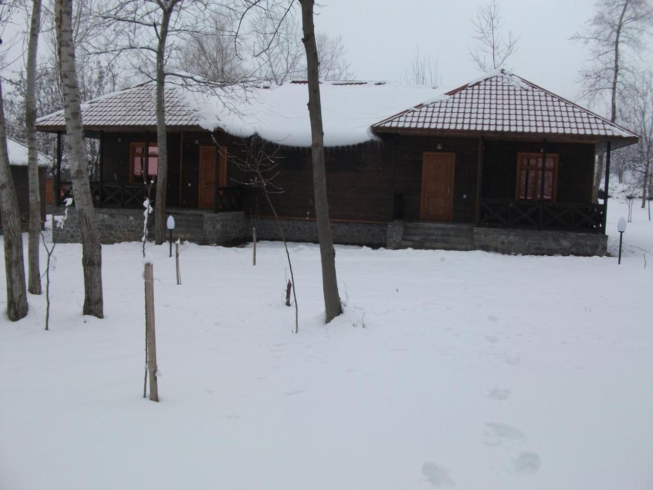 Kish Adasi Şǝki Bagian luar foto