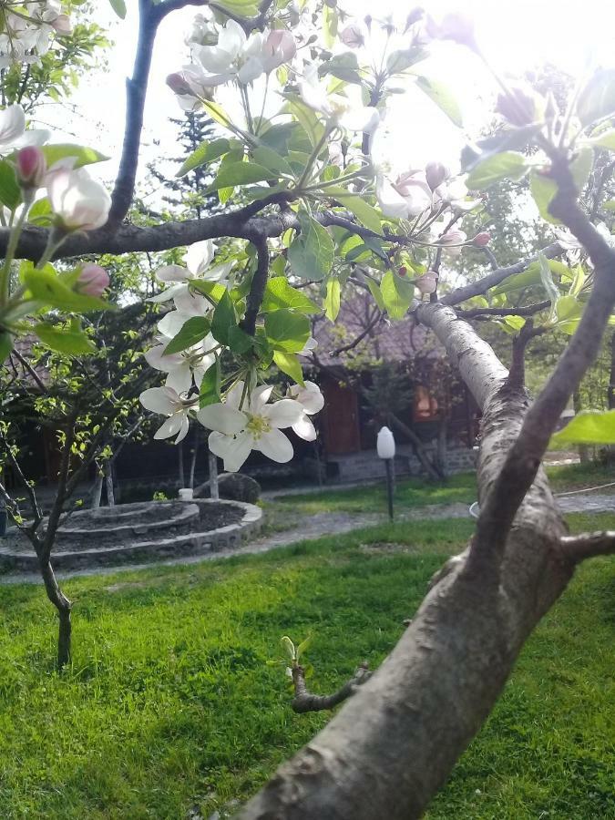 Kish Adasi Şǝki Bagian luar foto